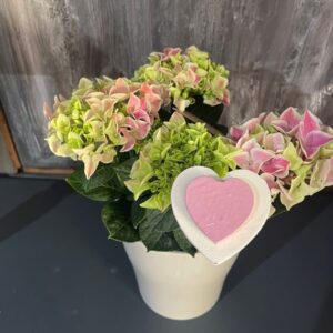 Bouquet Petit Cœur