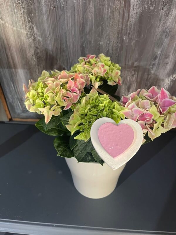 Bouquet Petit Cœur